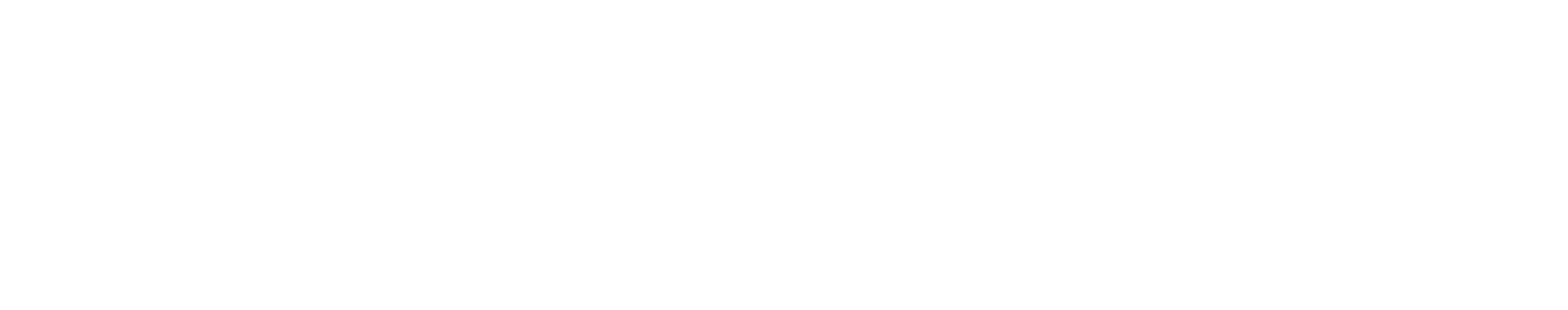 Fortune Agency